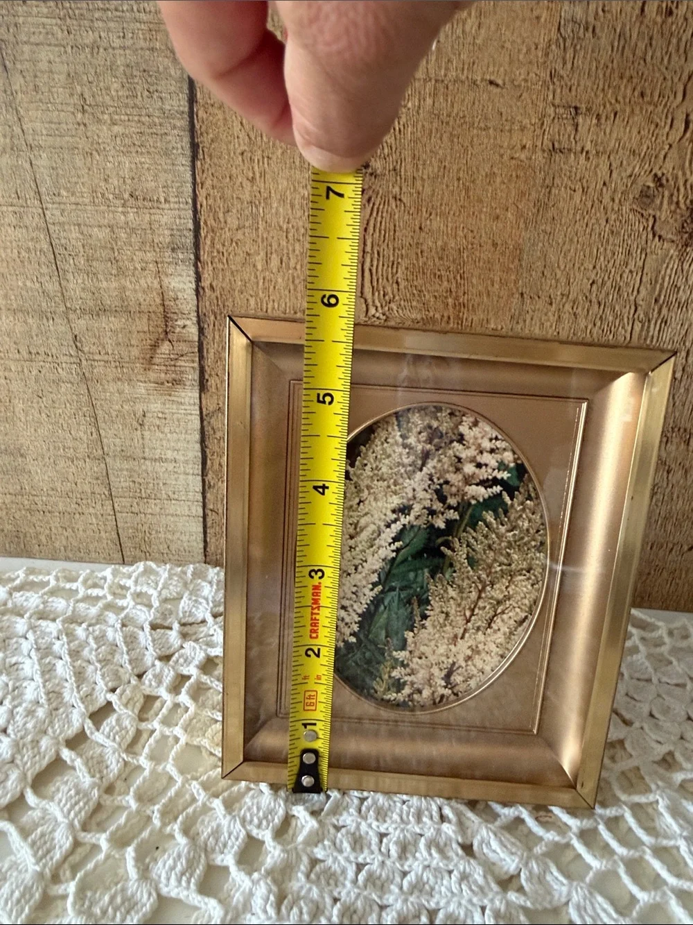 MCM Set of 3 Gold Oval Matted Recessed Shadow Box Picture Frames- Various Sizes